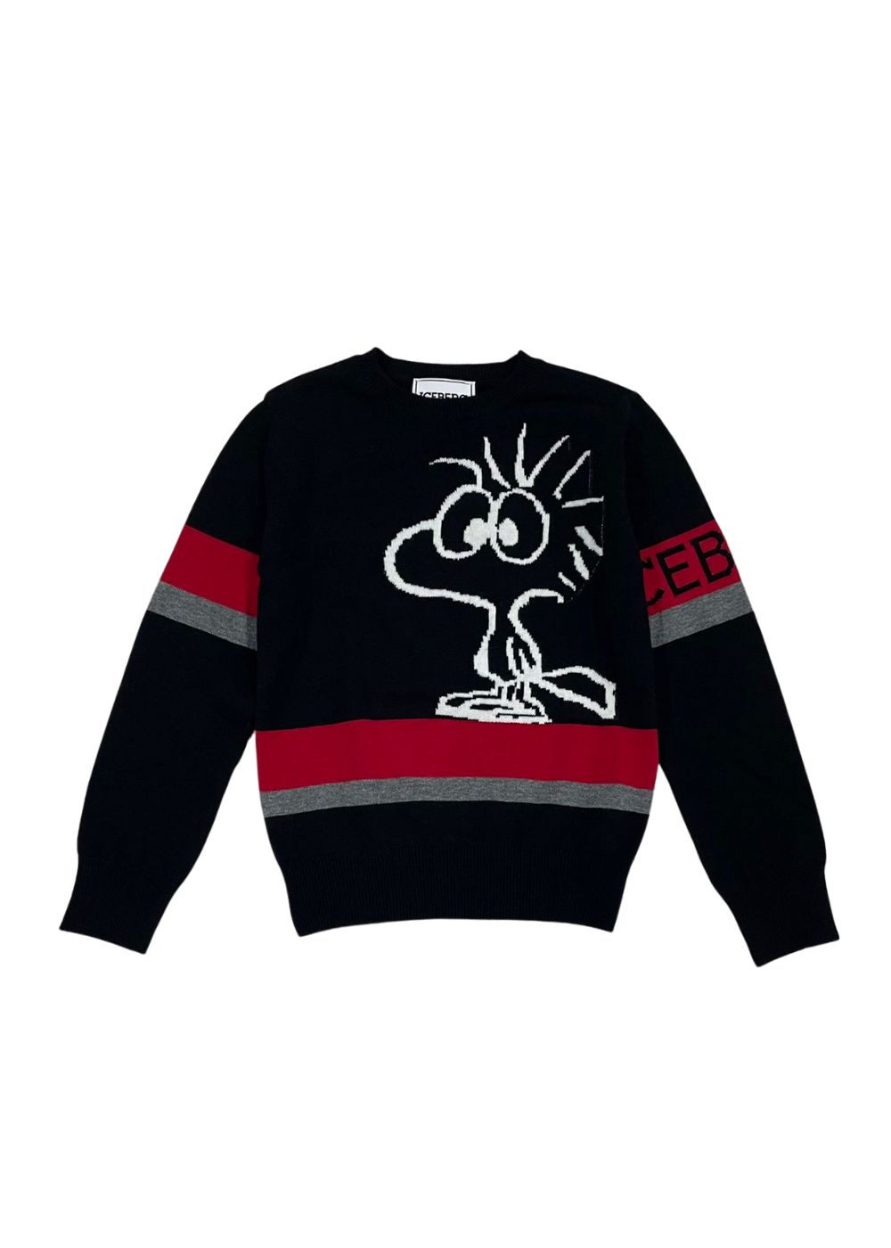 Iceberg Maglione Nero Con Fantasia