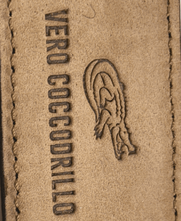 Cintura coccodrillo – Alberto Luti - immagine 4