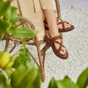 SANDALO GEORGIA MAHOGANY